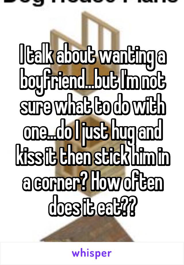 I talk about wanting a boyfriend...but I'm not sure what to do with one...do I just hug and kiss it then stick him in a corner? How often does it eat??