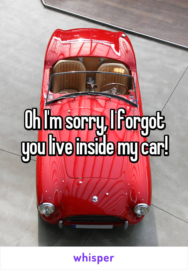 Oh I'm sorry, I forgot you live inside my car!