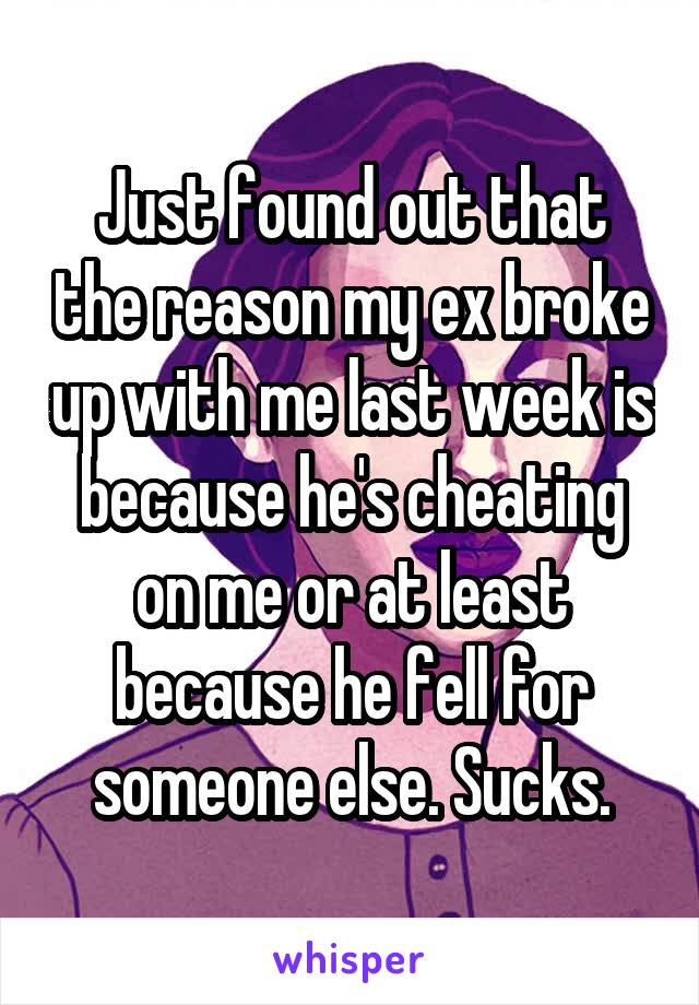 Just found out that the reason my ex broke up with me last week is because he's cheating on me or at least because he fell for someone else. Sucks.