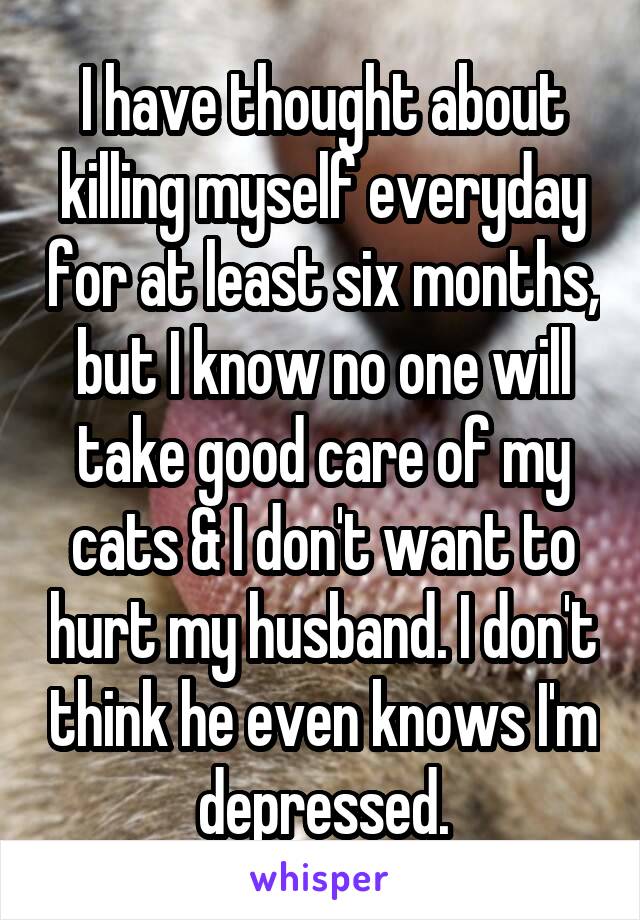 I have thought about killing myself everyday for at least six months, but I know no one will take good care of my cats & I don't want to hurt my husband. I don't think he even knows I'm depressed.