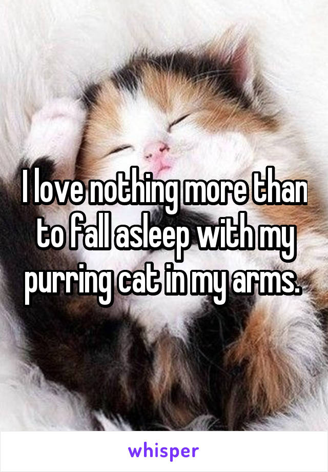 I love nothing more than to fall asleep with my purring cat in my arms. 