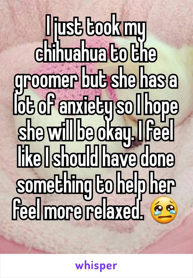 I just took my chihuahua to the groomer but she has a lot of anxiety so I hope she will be okay. I feel like I should have done something to help her feel more relaxed. 😢