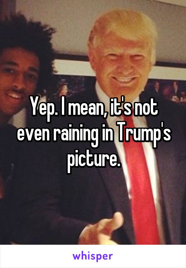 Yep. I mean, it's not even raining in Trump's picture.