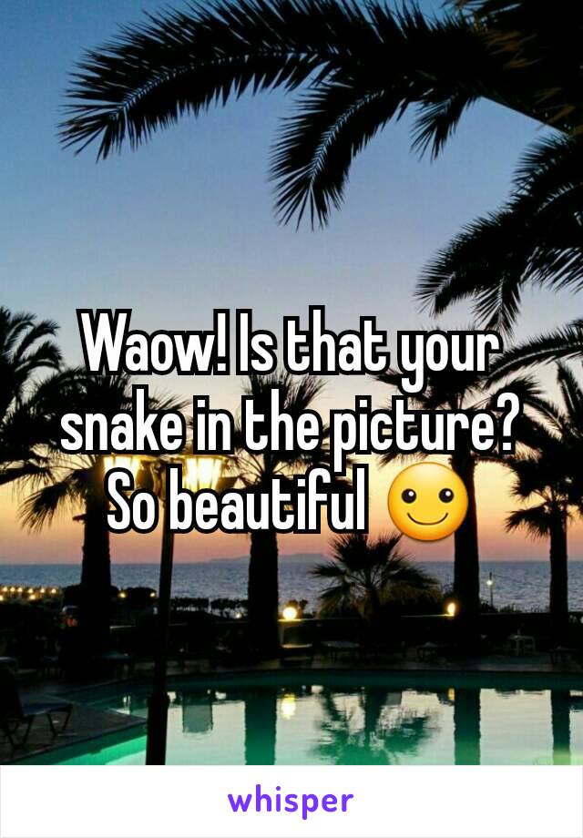 Waow! Is that your snake in the picture? So beautiful ☺