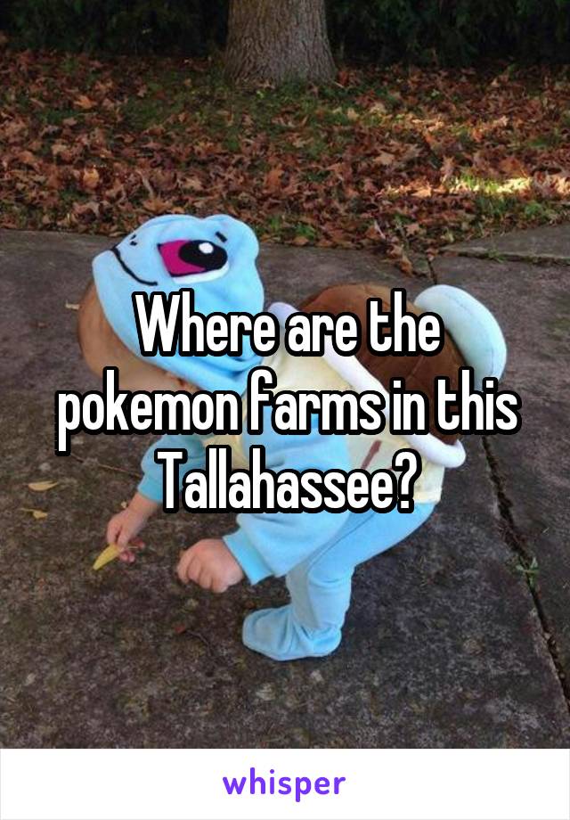 Where are the pokemon farms in this Tallahassee?