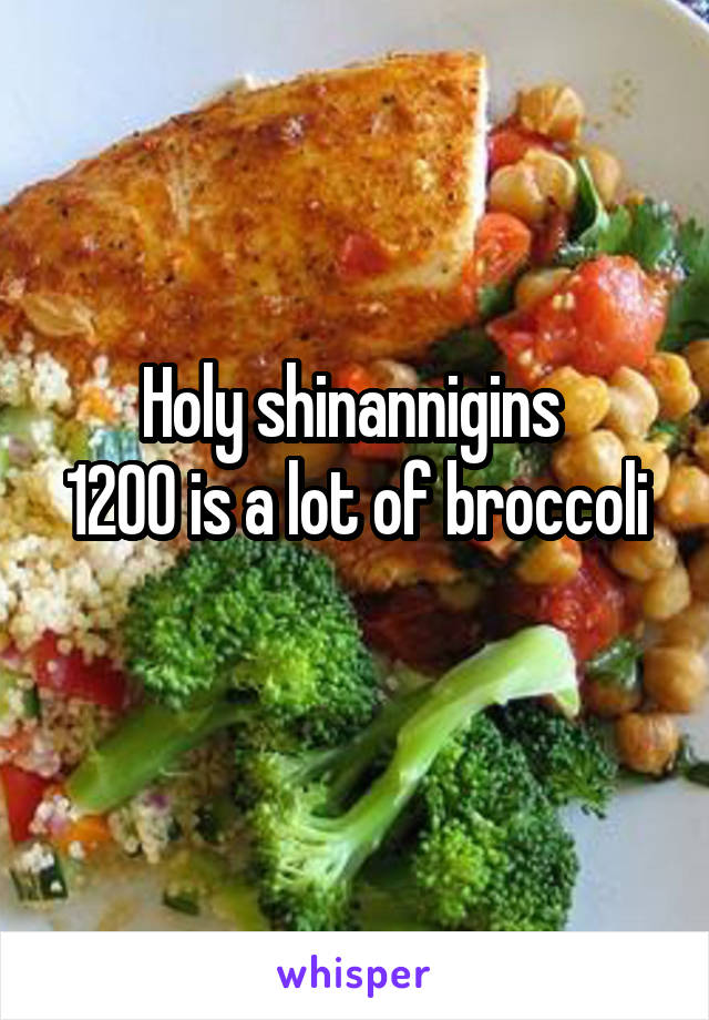 Holy shinannigins 
1200 is a lot of broccoli 