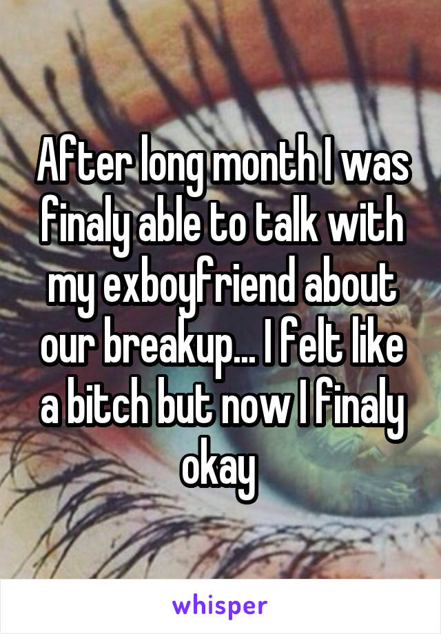 After long month I was finaly able to talk with my exboyfriend about our breakup... I felt like a bitch but now I finaly okay 