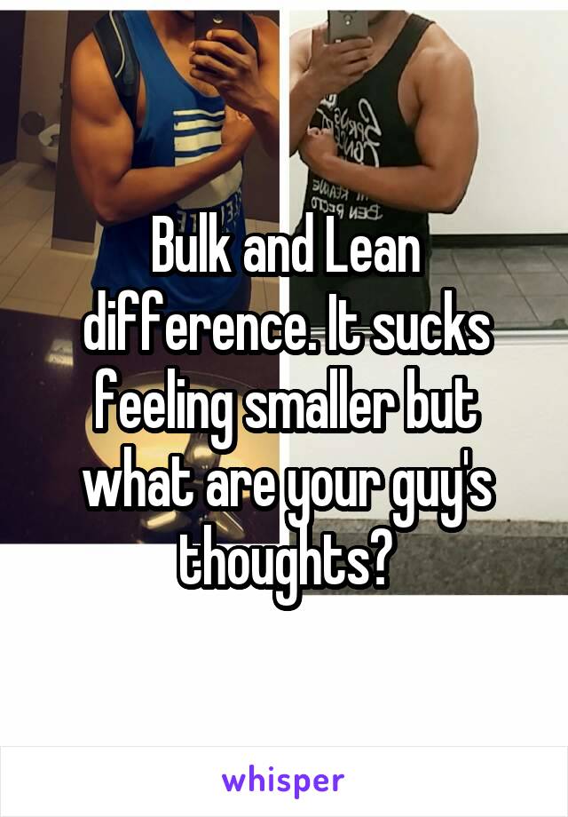 Bulk and Lean difference. It sucks feeling smaller but what are your guy's thoughts?