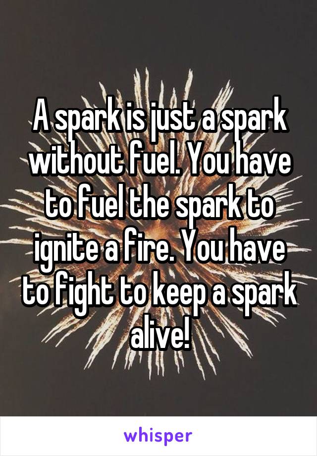 A spark is just a spark without fuel. You have to fuel the spark to ignite a fire. You have to fight to keep a spark alive!