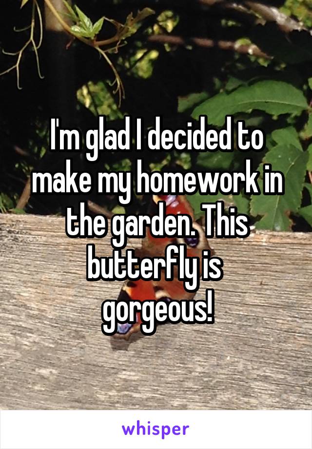 I'm glad I decided to make my homework in the garden. This butterfly is 
gorgeous!