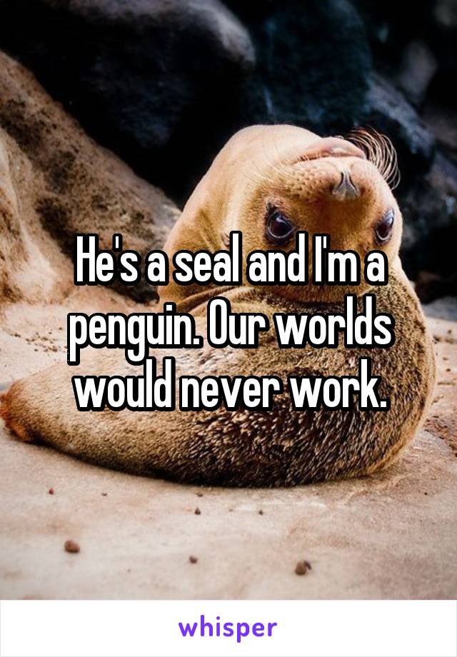 He's a seal and I'm a penguin. Our worlds would never work.