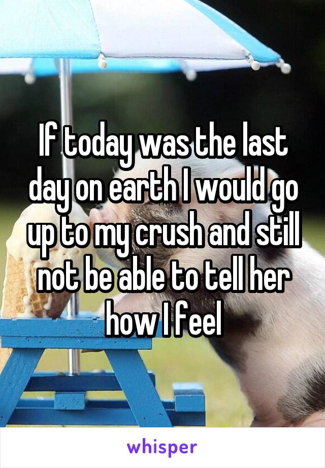 If today was the last day on earth I would go up to my crush and still not be able to tell her how I feel