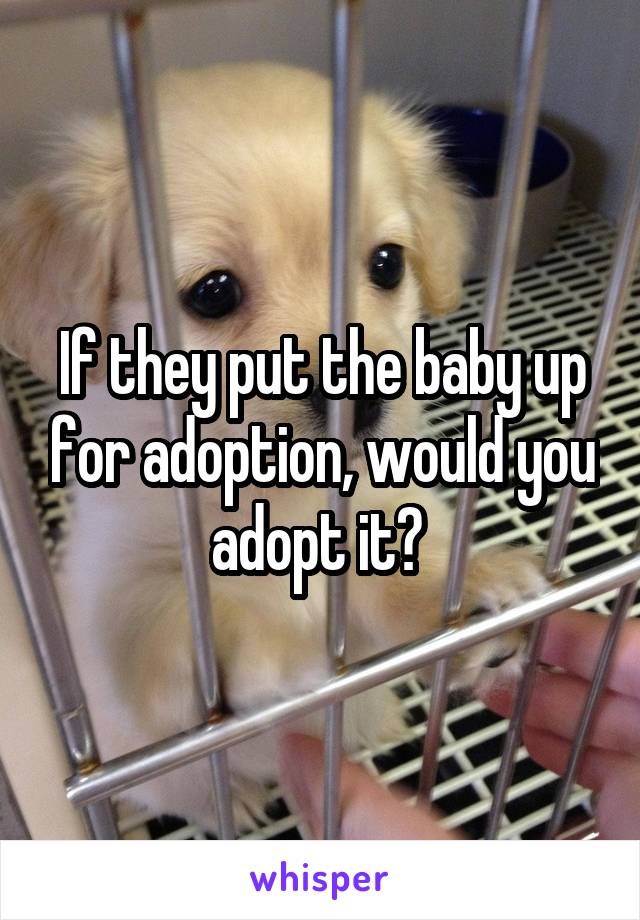 If they put the baby up for adoption, would you adopt it? 