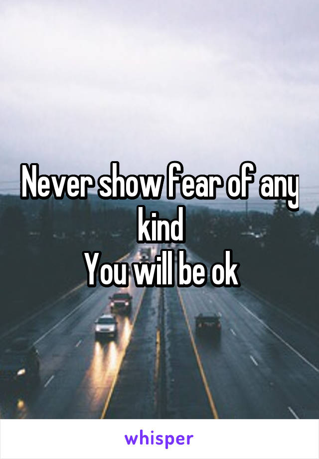 Never show fear of any kind
You will be ok