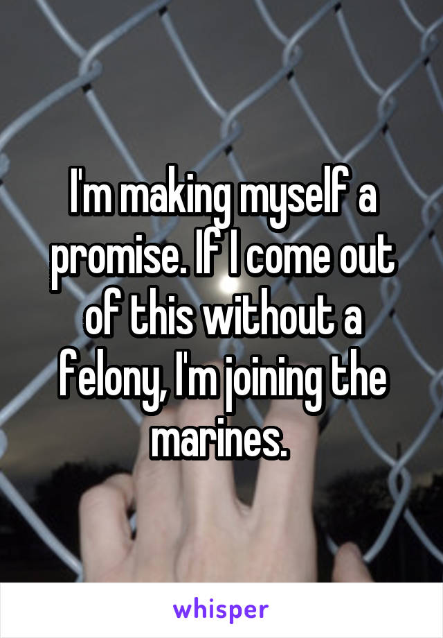 I'm making myself a promise. If I come out of this without a felony, I'm joining the marines. 