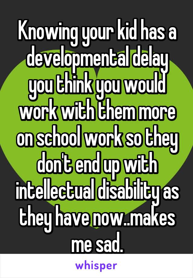 Knowing your kid has a developmental delay you think you would work with them more on school work so they don't end up with intellectual disability as they have now..makes me sad.