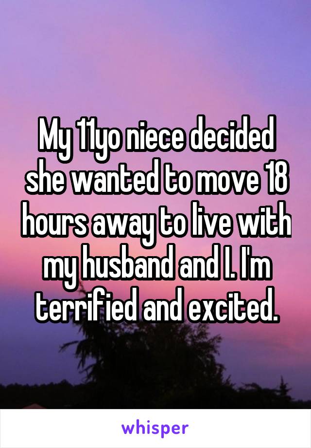 My 11yo niece decided she wanted to move 18 hours away to live with my husband and I. I'm terrified and excited.