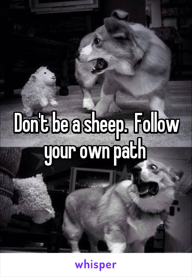 Don't be a sheep.  Follow your own path 