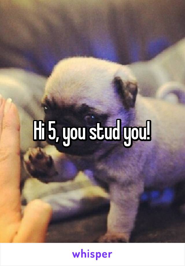 Hi 5, you stud you! 