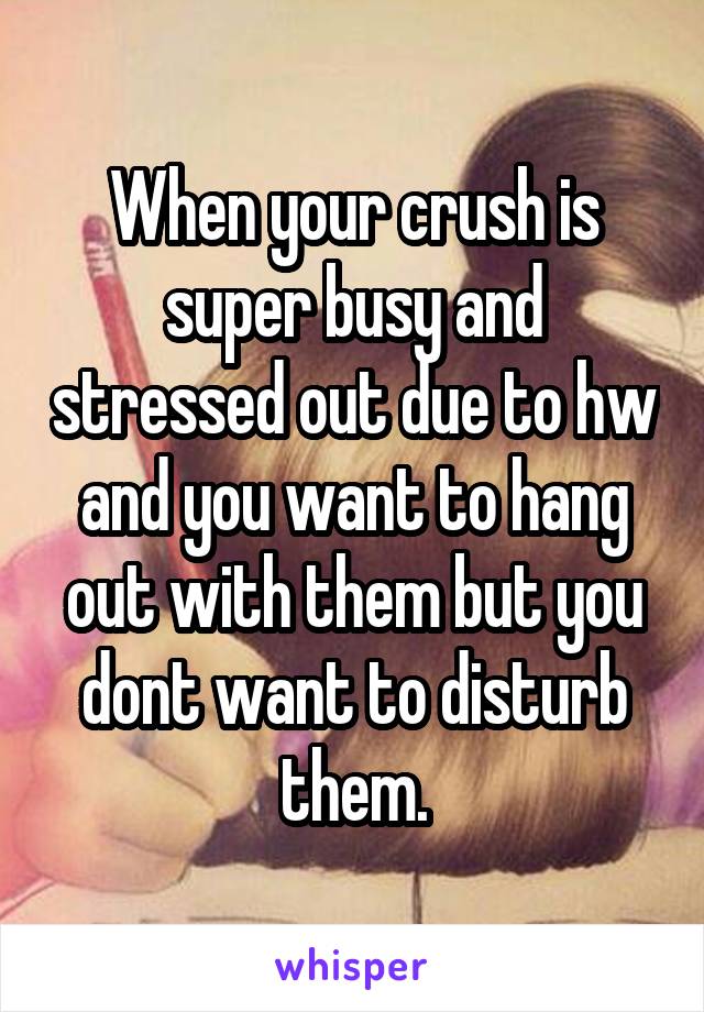 When your crush is super busy and stressed out due to hw and you want to hang out with them but you dont want to disturb them.