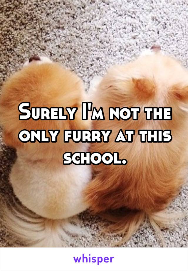 Surely I'm not the only furry at this school.