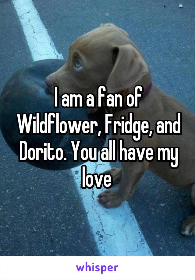 I am a fan of Wildflower, Fridge, and Dorito. You all have my love 