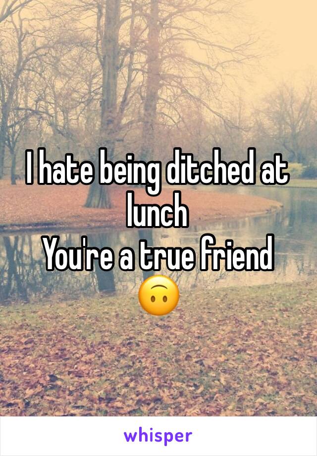 I hate being ditched at lunch
You're a true friend 
🙃