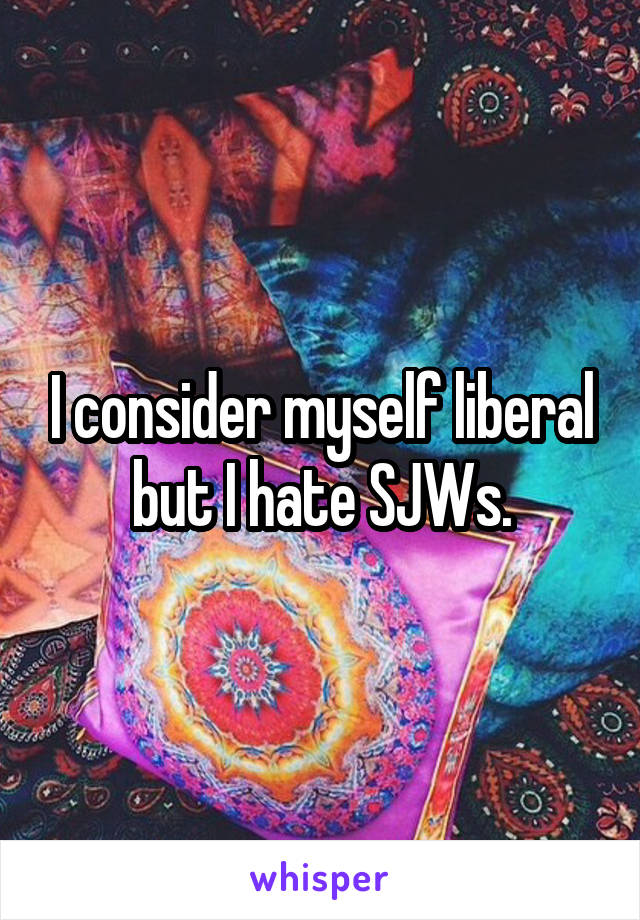 I consider myself liberal but I hate SJWs.