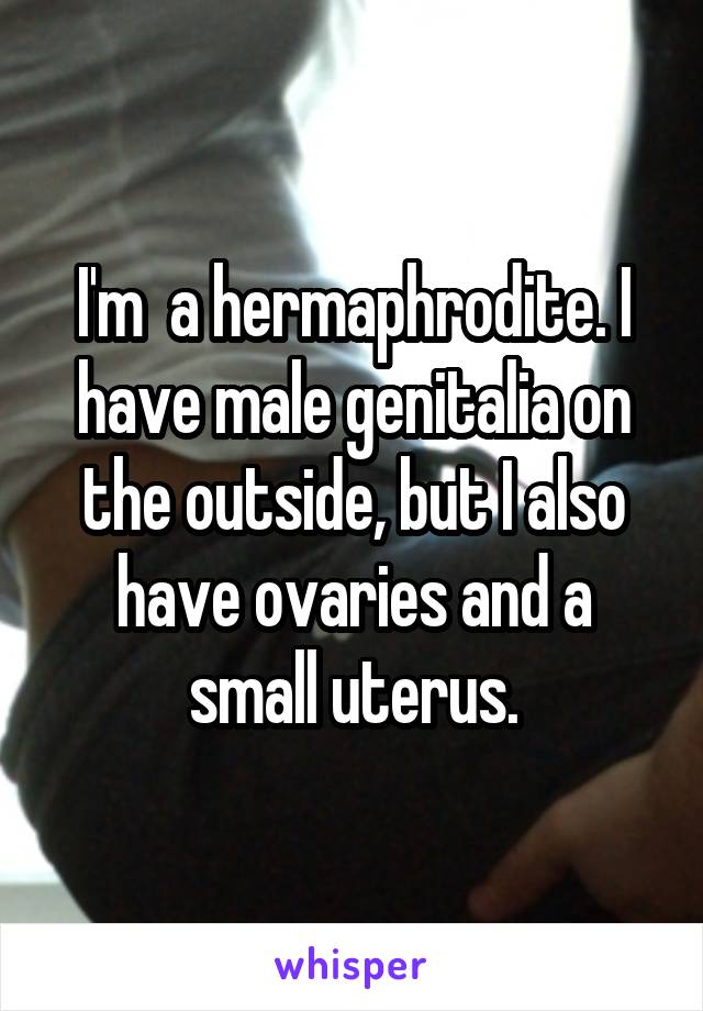 I'm  a hermaphrodite. I have male genitalia on the outside, but I also have ovaries and a small uterus.