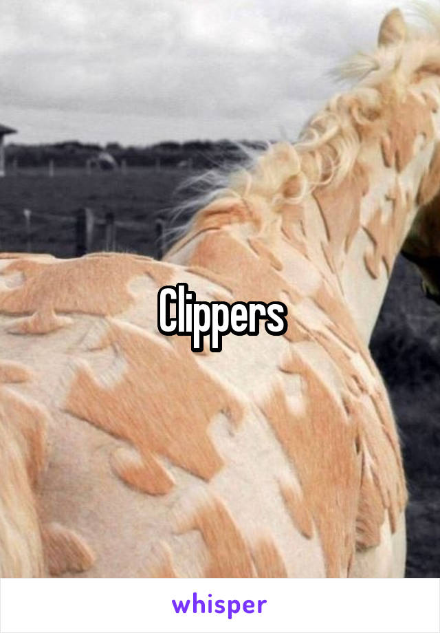 Clippers