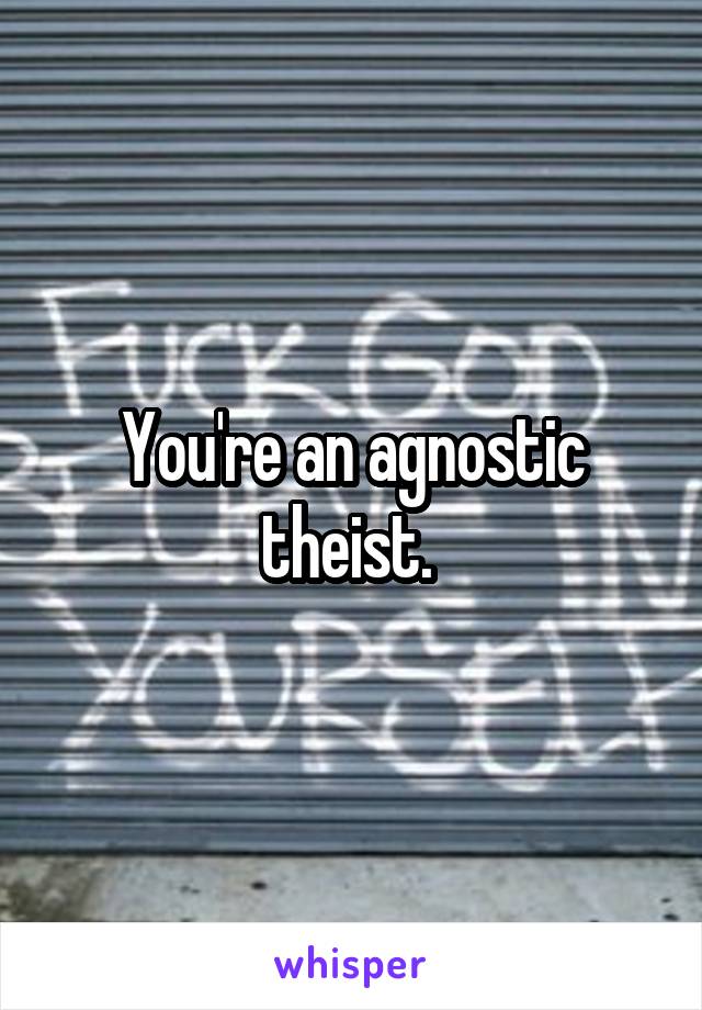 You're an agnostic theist. 