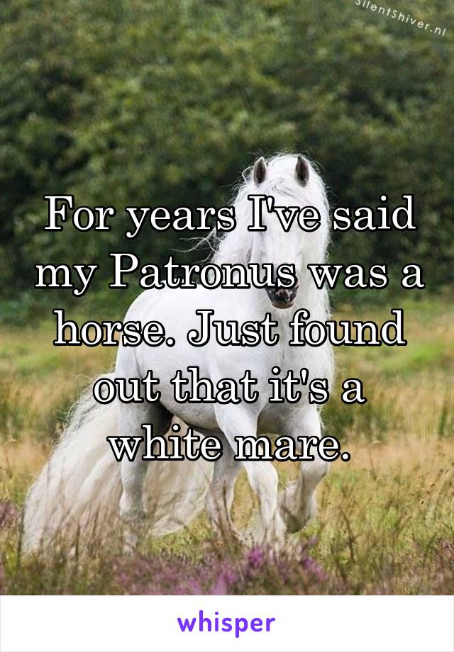 For years I've said my Patronus was a horse. Just found out that it's a white mare.