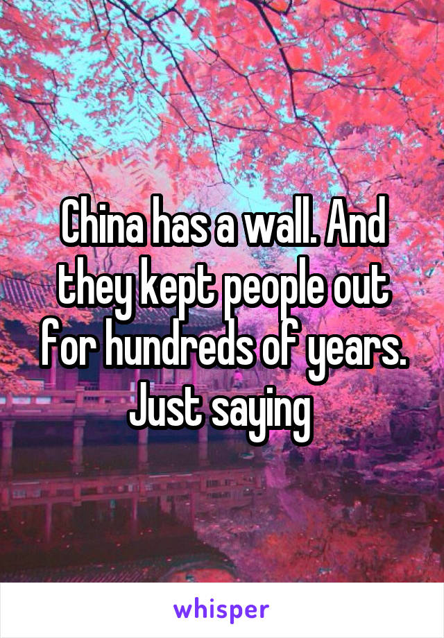 China has a wall. And they kept people out for hundreds of years. Just saying 