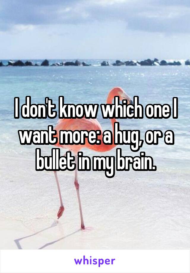 I don't know which one I want more: a hug, or a bullet in my brain.