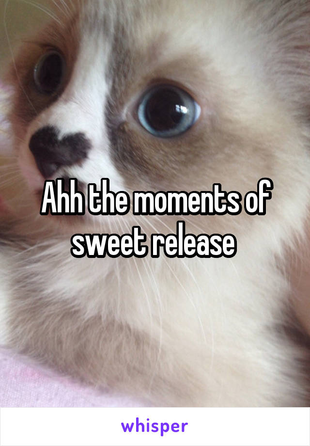 Ahh the moments of sweet release 