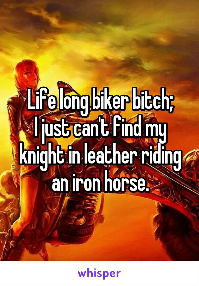 Life long biker bitch;
I just can't find my knight in leather riding an iron horse.