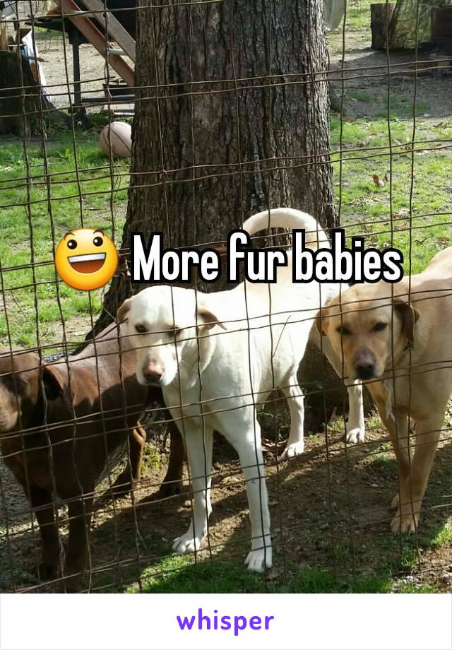 😃 More fur babies