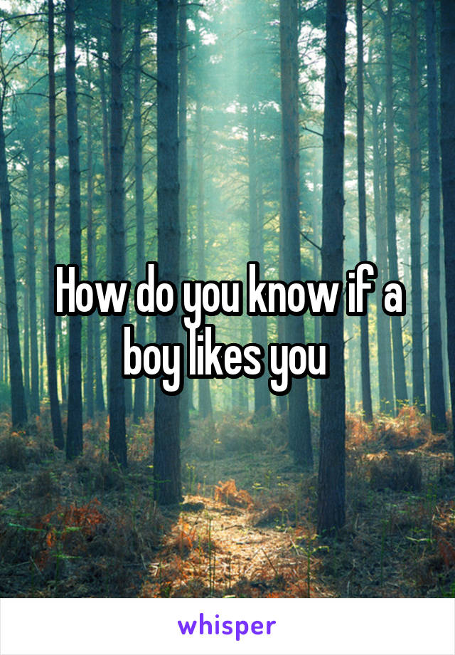 How do you know if a boy likes you 