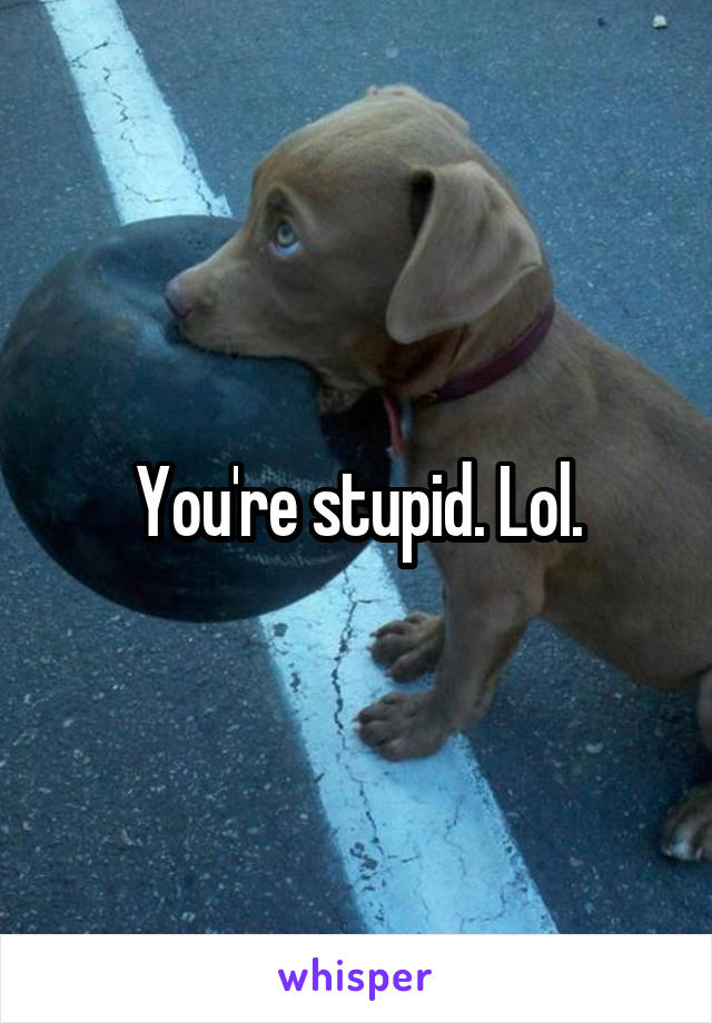 You're stupid. Lol.