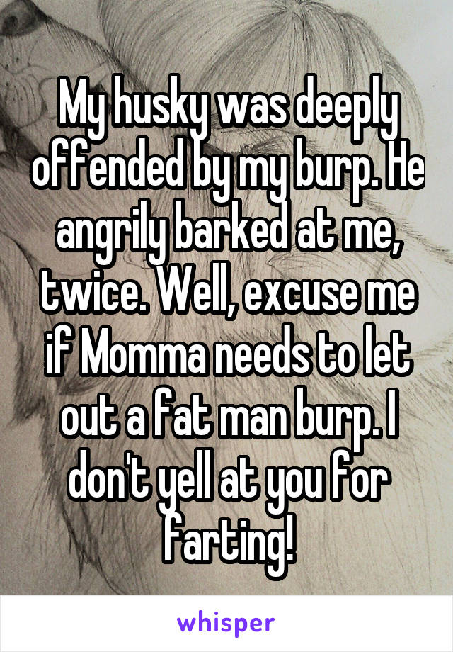 My husky was deeply offended by my burp. He angrily barked at me, twice. Well, excuse me if Momma needs to let out a fat man burp. I don't yell at you for farting!