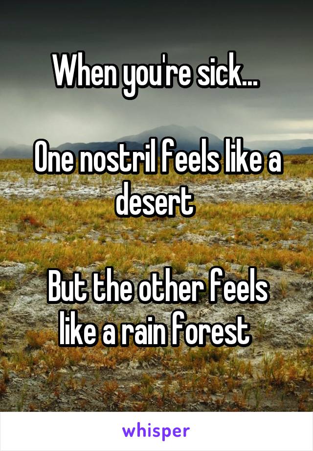 When you're sick... 

One nostril feels like a desert 

But the other feels like a rain forest 
