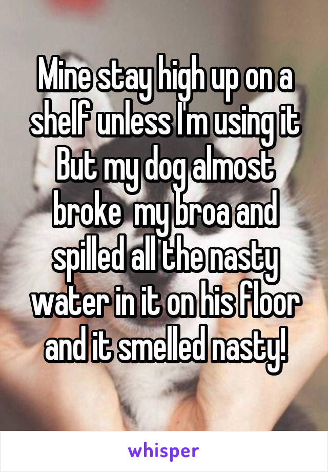 Mine stay high up on a shelf unless I'm using it
But my dog almost broke  my broa and spilled all the nasty water in it on his floor and it smelled nasty!
