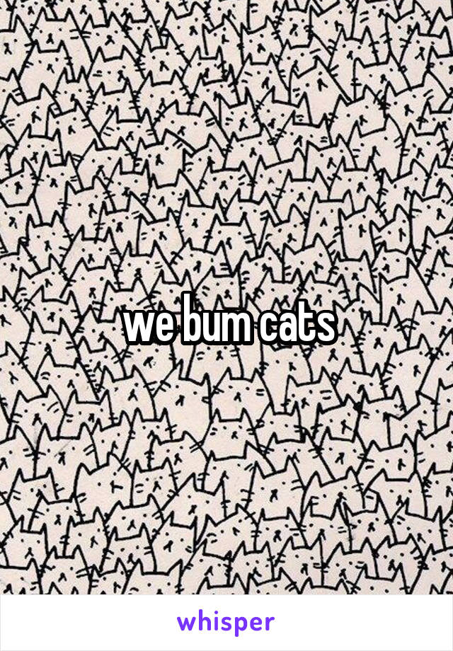 we bum cats