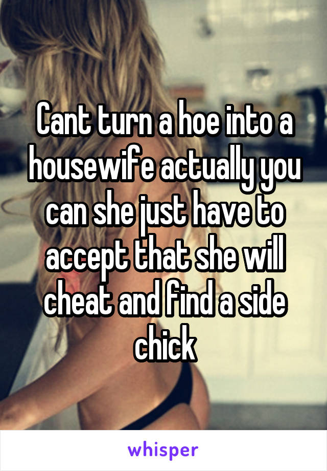 Cant turn a hoe into a housewife actually you can she just have to accept that she will cheat and find a side chick