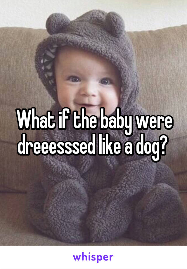 What if the baby were dreeesssed like a dog? 