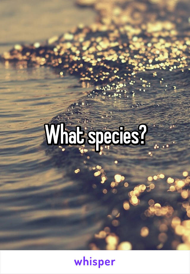 What species?