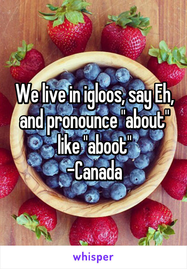 We live in igloos, say Eh, and pronounce "about" like "aboot"
-Canada