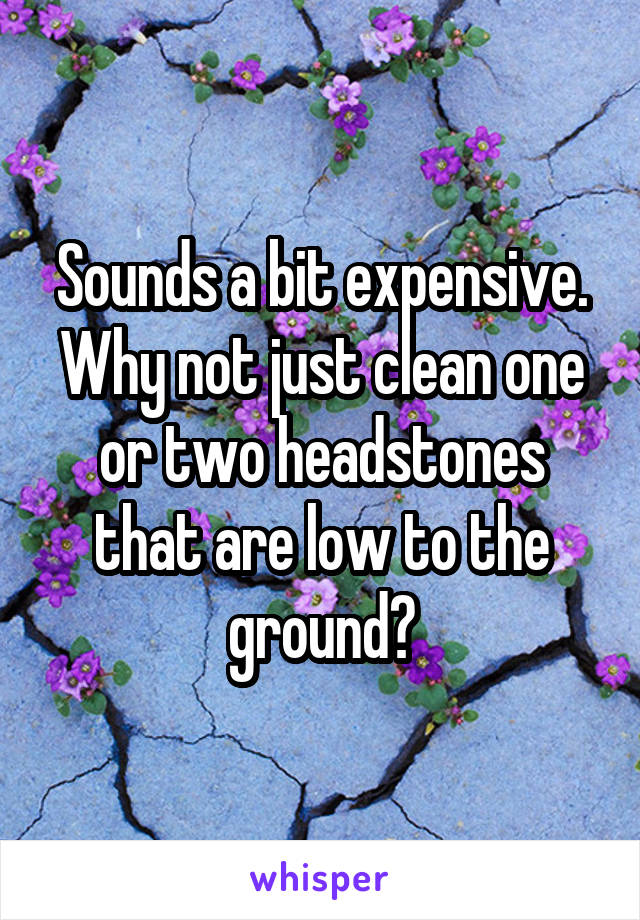 Sounds a bit expensive. Why not just clean one or two headstones that are low to the ground?