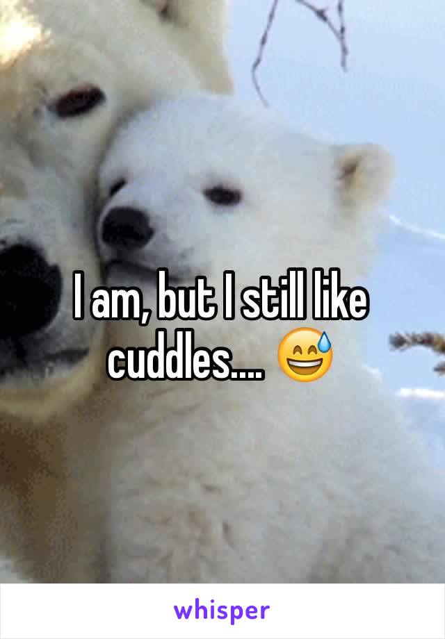 I am, but I still like cuddles.... 😅