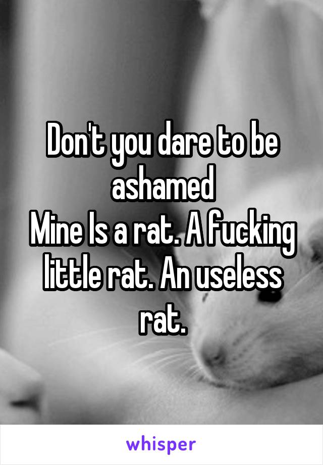 Don't you dare to be ashamed
Mine Is a rat. A fucking little rat. An useless rat.